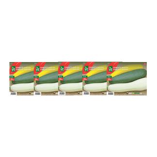 Courgettezaad | VT | 5 stuks (Multicolor), Tuin en Terras, Verzenden