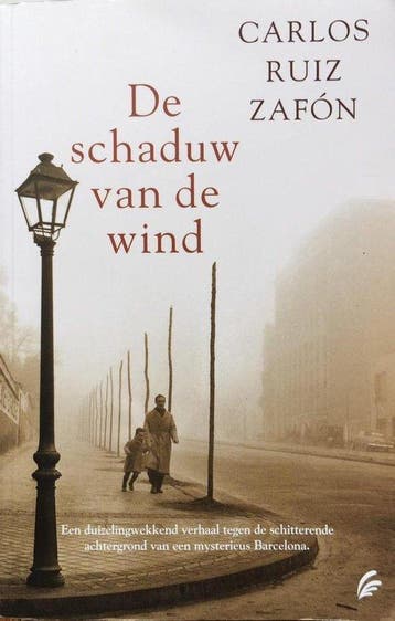Het Kerkhof der Vergeten Boeken 1, Boeken, Verzenden, Gelezen