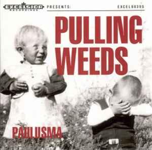 cd card - Paulusma - Pulling Weeds, Verzenden, Zo goed als nieuw, Pop