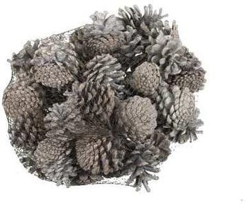 Dennenappel Oostenrijkers White Tip 1 kilo, Ophalen of Verzenden, Nieuw