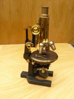 Monocular compound microscope - 1910-1920 - Carl Zeiss Jena