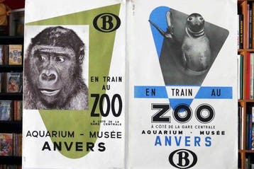 Studio Peso - En train au ZOO dAnvers à côté de la Gare