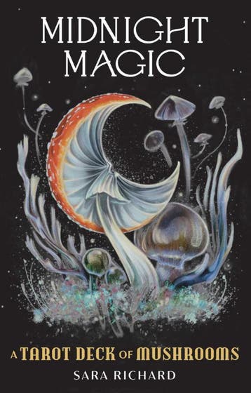 Midnight Magic | Sara Richard | Nieuw, Ophalen of Verzenden, Nieuw, Sara Richard
