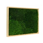 Vintlux Mosschilderij Lappenmos 30x40 cm Blank Hout, Nieuw