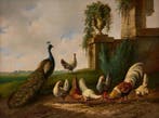 Albertus Verhoesen (1806-1881) - Poultry by a ruin