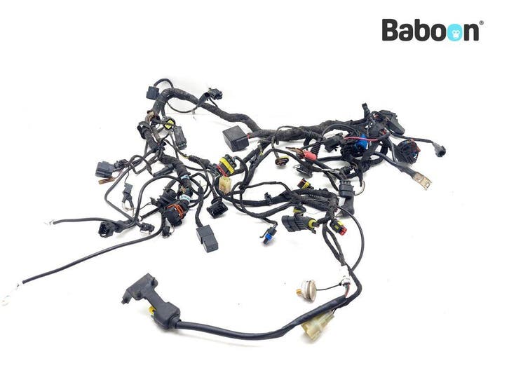 Kabelboom Ducati 1198, Motoren, Onderdelen | Ducati, Gebruikt, Verzenden