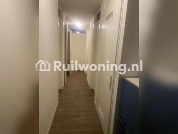 Gezellige flat in Ermelo zoekt plek in Amsterdam, Amsterdam