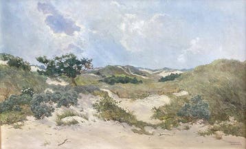 Meeuwis van Buuren (1902 - 1992) - Duinzicht