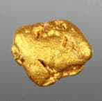 Goud Pepita Australia - Hoogte: 7 mm - Breedte: 6 mm- 0.59 g