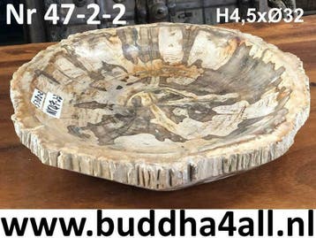 Versteend hout schalen en borden / fruitschalen fossiel hout, Overige materialen, Schaal, Nieuw, Ophalen of Verzenden