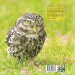 Natuurfotografie voor uilskuikens 9789079588138, Boeken, Verzenden, Zo goed als nieuw, Arno ten Hoeve
