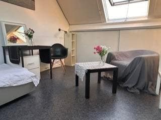 Appartement te huur in Maastricht - 23 m² - 1 kamer(s), Appartement, Maastricht, Limburg