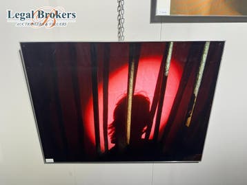 Hubertus Hohenlohe - Behind Pink Bars, Ophalen of Verzenden, Nieuw