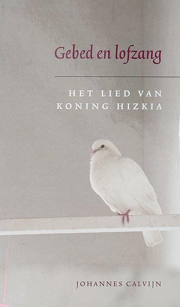 GEBED EN LOFZANG - Johannes Calvijn 9789033127243, Boeken, Verzenden, Zo goed als nieuw, Johannes Calvijn