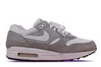 Nike Air Max 1 Book of Ones Cork Grey (Unreleased Sample) •, Ophalen of Verzenden, Nieuw, Nike, Sneakers of Gympen