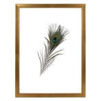 Fotolijst Dubbelglas 40x60 cm Tropez, Nieuw