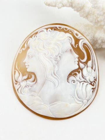CASSIS MADAGASCARIENSIS - Cameo - Handgesneden camee