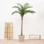 Green Bubble - Kunstplant Majesty Palm - 300cm - Ø, Huis en Inrichting, Ophalen of Verzenden, Nieuw, Binnen