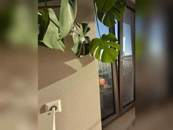 Te huur: Appartement Spadinalaan in Amsterdam, Noord-Holland, Appartement, Amsterdam