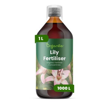 Lelie Vloeibare meststof - 1 liter, Tuin en Terras, Verzenden, Mest