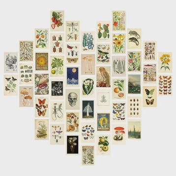 50 Stuks Esthetische Botanische Muurdecoratie Set: Planten,, Verzenden, Gelopen