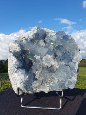 Grote transparante heldere punten Celestine-geode van