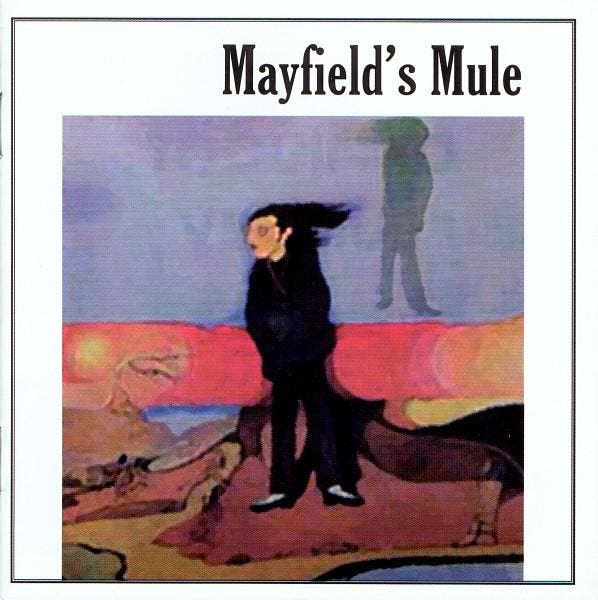 cd - Mayfields Mule - Mayfields Mule, Cd's en Dvd's, Cd's | Overige Cd's, Zo goed als nieuw, Verzenden