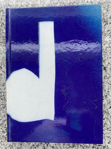 Blauwe diesel – Van aalmoezenier tot zaaddonor, Boeken, Verzenden, Gelezen, Schilder- en Tekenkunst