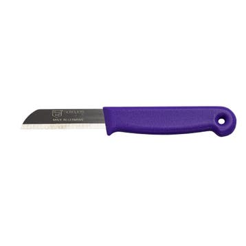 Solingen Schilmesje – RVS Glad – 16 cm met Blade Cover, Ophalen of Verzenden, Nieuw, Rvs of Chroom