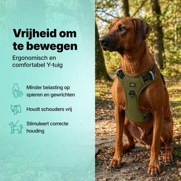 2dekans | Jake en Jacky Hondentuigje - Anti-Trek Tuig -, Dieren en Toebehoren, Ophalen of Verzenden, Zo goed als nieuw