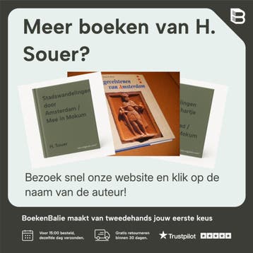 BIJBEL IN STEEN 9789089120083 H. Souer, Boeken, Verzenden, Zo goed als nieuw, H. Souer