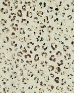 Linnen Viscose Folie Panter Naturel, Nieuw, Overige kleuren