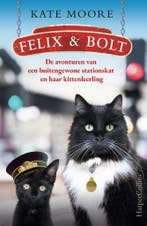 Felix & Bolt 9789402710397 Kate Moore, Boeken, Verzenden, Zo goed als nieuw, Kate Moore