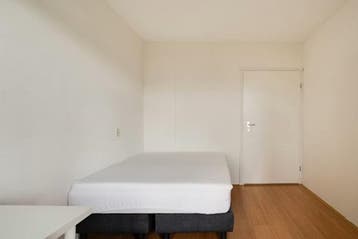 Kamer Kobelaan in Rotterdam, 20 tot 35 m², Rotterdam