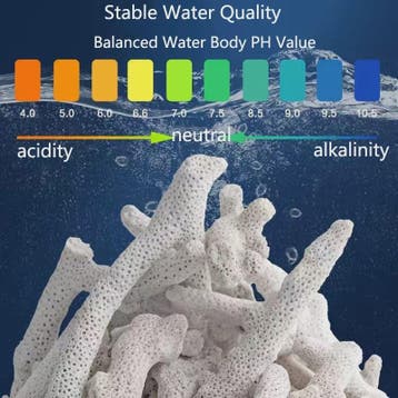 Hoogwaardig Koraalbot Filtermedium voor Aquarium - PH Stabil, Verzenden, Nieuw
