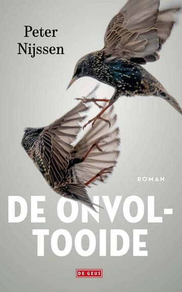 De onvoltooide (9789044545807, Peter Nijssen), Verzenden, Nieuw