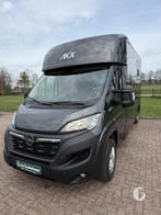 Prachtige AKX Stephex paardenwagen uit 2024!, Dieren en Toebehoren, Paarden en Pony's | Trailers en Aanhangwagens, Ophalen, Zo goed als nieuw