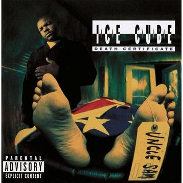 ICE CUBE - DEATH CERTIFICATE (LP), Verzenden, Nieuw in verpakking