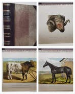 W.J. Miles - Modern Practical Farriery. A Complete System of, Antiek en Kunst