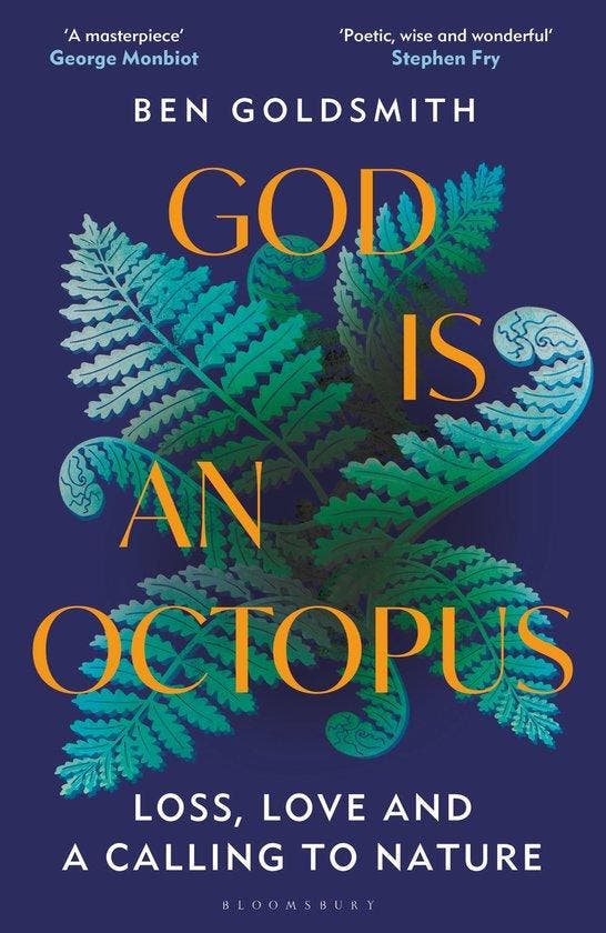 God Is An Octopus 9781399408356 Ben Goldsmith, Boeken, Taal | Engels, Gelezen, Verzenden