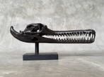 sculptuur, Brown Gharial Crocodile Skull, on custom stand -