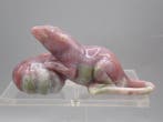 K. Faber - Snijwerk, Rat and pumpkin - 3.7 cm - Jade