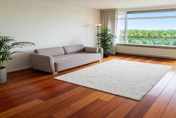Appartement Amerbos in Amsterdam, Via bemiddelaar, Appartement, Amsterdam, Amsterdam