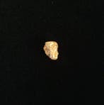 Goud Goud nugget - Hoogte: 9.14 mm - Breedte: 6.94 mm- 1.36
