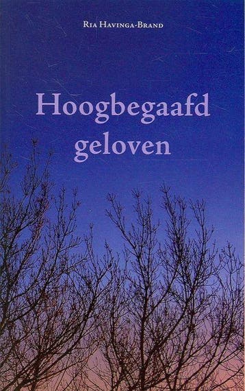 Hoogbegaafd geloven - R. Havinga-Brand 9789075569452, Verzenden, Zo goed als nieuw, R. Havinga-Brand