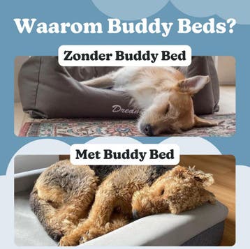 Buddy Beds Hondenmand Medium -  Orthopedisch Hondenkussen, Dieren en Toebehoren, Ophalen of Verzenden, Zo goed als nieuw