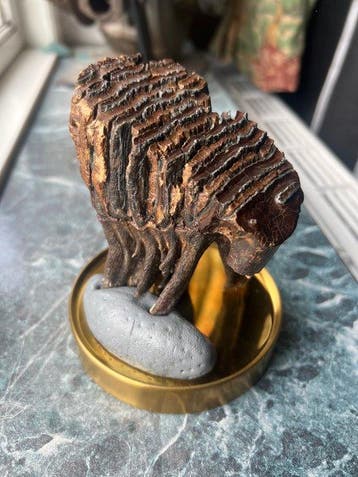 Baby Wolly Mammoth - Fossiele tand - Molar