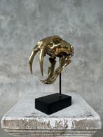 Beeld, NO RESERVE PRICE - Saber Tooth Tiger Skull - Smilodon