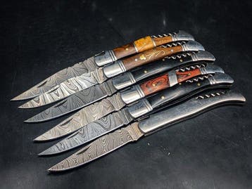 laguiole Baguna Steak Knives - Keukenmes - Kitchen knife set