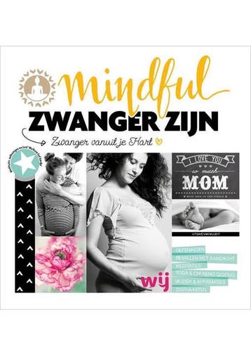 Mindful zwanger zijn (incl. CD) Anna van Amsterdam, Yvon Tui, Verzenden, Gelezen